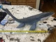 Jurassic Park Mosasaurus 28&rdquo; Fallen Kingdon Posable Displayable 2017 Mattel