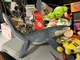 Jurassic World Park Mosasaurus 28" Dinosaur Collosal Sea Real Feel 2017 Mattel