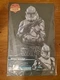 New Hot Toys MMS643 Star Wars Clone Trooper Chrome Version 1/6 Figure in stock