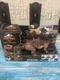 Jurassic World Kentrosaurus Mattel Dino Escape Toy Camp Cretaceous