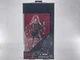 Hasbro Star Wars The Black Series Rogue One SERGEANT JYN ERSO Action Figure