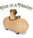 5'' Pug in a Peanut Pull-Back Car Archie McPhee Cute Gift (f8)