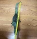 Jurassic World Dominion Super Colossal Giganotosaurus TESTED WORKS 22"