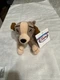 Disney MINI BEAN BAG LADY 8&rdquo; - Lady & The Tramp- NWT B298