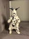 Bandai kaiju Ultra Monster Series 2000 No 3 Eleking from Ultraseven US STOCK