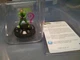 DC HeroClix Batman 1966 Booster Pack Collectible Figure The Riddler