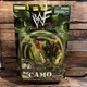 VTG 1999 WWF WWE Road Dogg Jesse James Camo Carnage Jakks Wrestling Figure MOC
