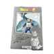 Vegeta Version 2 (Dragon Ball Super) Dragon Stars Action Figure 