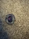 Takara Tomy Beyblade Metal Fight ZeroG BBG-01 Samurai Ifraid / Ifrit W145CF 
