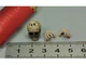 TBLeague PL2019-157 1/12 Scale Vampirella Skull with Hands Model
