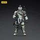 JOYTOY JT8698 1/18 SEF 09th Legion Assault Company-Assaulter Action Figure Model