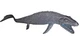 Boley Prehistoric Mosasaurus Dinosaur - Realistic Plastic Figure Toy 9.5" Long