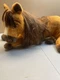 DreamWorks SPIRIT Untamed Horse 18" Long Plush Lying Down Stuffed Animal