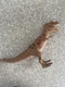 Jurassic Park JP06 Young T-Rex Figure Kenner 1993 Toy -missing wound cover