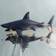 Blue Shark 6 Inch Sea Animal Creature Figure Toy Collectible Adventure Force 
