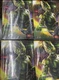 Hot Toys MMS630 SPIDER-MAN NO WAY HOME 1/6 GREEN GOBLIN Normal Version Figure