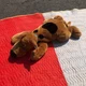 Vintage Warner Brothers Scooby Doo Laying Plush Stuffed Animal Dog 32"+ Jumbo