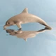 Dolphin Miniature Figurine Sea Creature Figure Toy Collectible Adventure Force 