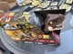 Jurassic World Roaring' Frenzy RC T Rex New In Box wear