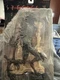 McFarlane Movie Maniacs Species II Patrick 7.5&rdquo; Figure 1998 Horror Sci-Fi Rare C