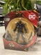 Spin Master Toys DC Universe, The Flash Movie 4" DARK FLASH First Edition NEW