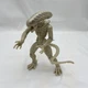 Alien Collection Xenomorph Drone Walmart Exclusive 7&rdquo; Action Figure White Lanard