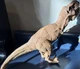 Hasbro Jurassic World Jurassic Giants Chomping Brown T-Rex Figure 16&rdquo; Long