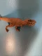 Jurassic World JW JP Chomping Tyrannosaurus Rex T-Rex Dinosaur Figure 2015 B1156