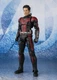 Bandai S.H.figuarts Ant-Man Avengers End Game from Japan
