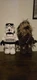 Disney Lego Star Wars 13" Chewbacca Plush and Storm Trooper Plush