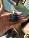 Bandai Stranger Things 6&rdquo; Hawkins- Hopper Season 4 Chest Only