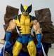 ToyBiz Marvel Legends Wolverine Series 3 w/Diorama.
