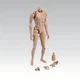 ZYTOYS ZY-B001 1/6 Scale Male Body Skin Color for 12"  Action Figure Model
