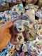 My Little Pony Potion Ponies 3 inch POTION NOVA Hasbro Toy