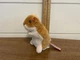 Douglas Hamster Plush 5" Brown White Stuffed Animal Cute Realistic Toy 2012