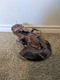 Star Wars 30th Anniversary Trade Federation Armored Assault Tank AAT 