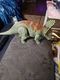 Mattel Jurassic World Dino Rivals Dual Attack Triceratops Dinosaur 2021 