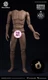 WorldBox AT020 1/6Scale 12in Durable Body with Neck Head Sculpture Universal