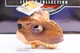 🦖 NEW MATTEL JURASSIC WORLD PARK TYRANNOSAURUS REX MASK LEGACY T-REX DINOSAUR