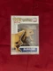 Funko Pop! Vinyl: Pok&eacute;mon Alakazam #855 with Pop Protector New Unopened Rare