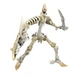 Transformers Generations War for Cybertron Kingdom Deluxe WFC-K25 Wingfinger