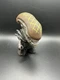 Alien VS Predator Xenomorph AVP Titans Vinyl Figure Versus Loot Crate Exclusive
