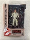 Ghostbusters Plasma Series EGON SPENGLER ACTION FIGURE Hasbro MIB NEW