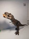 Jurassic World Camp Cretaceous Epic Roarin Tyrannosaurus T- Rex 22&rdquo; 