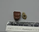 DID B11013 1/6 WWI British Infantry Tom - Compass model