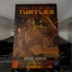 TMNT Donatello 5in Action Figure & IDW Comic Loyal Subjects BST AXN