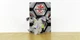 HTF BAKUGAN Armored Alliance Core DIAMOND NILLIOUS B400 Spin Master Rare