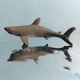 Shark Miniature Figurine Creature animal Figure Toy Collectible Adventure Force