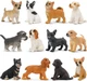 Toymany 12PCS Mini Dog Figurines Toy Set, Realistic Detailed Plastic Puppy... 