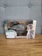 2023 Rebel Moon IMPERIUM DROPSHIP 7" Popcorn Bowl Netflix Series